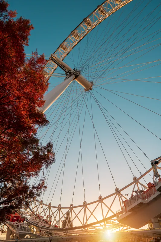 Autumn Eye, London, UK