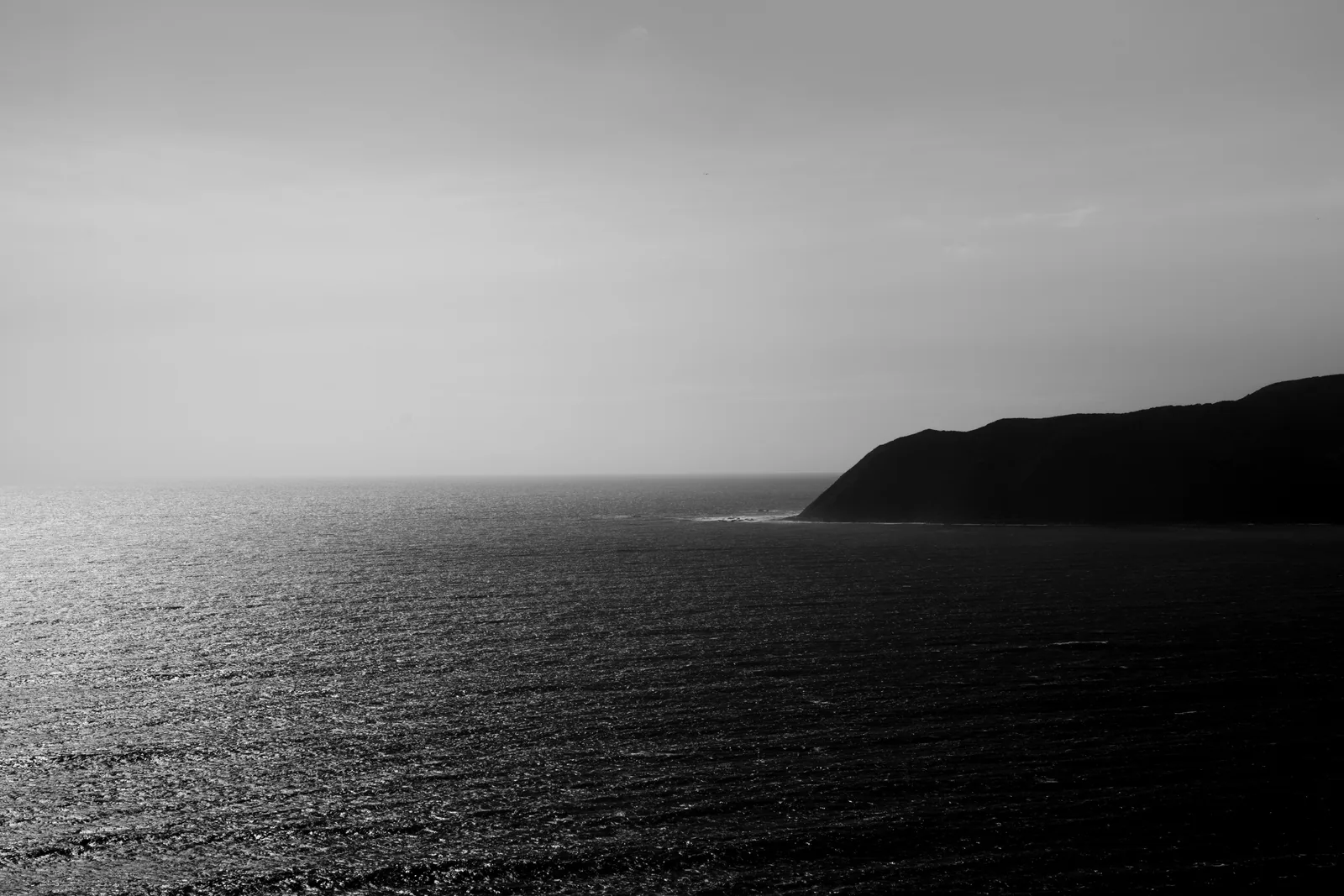 Coastal Solitude, Porirua, NZ