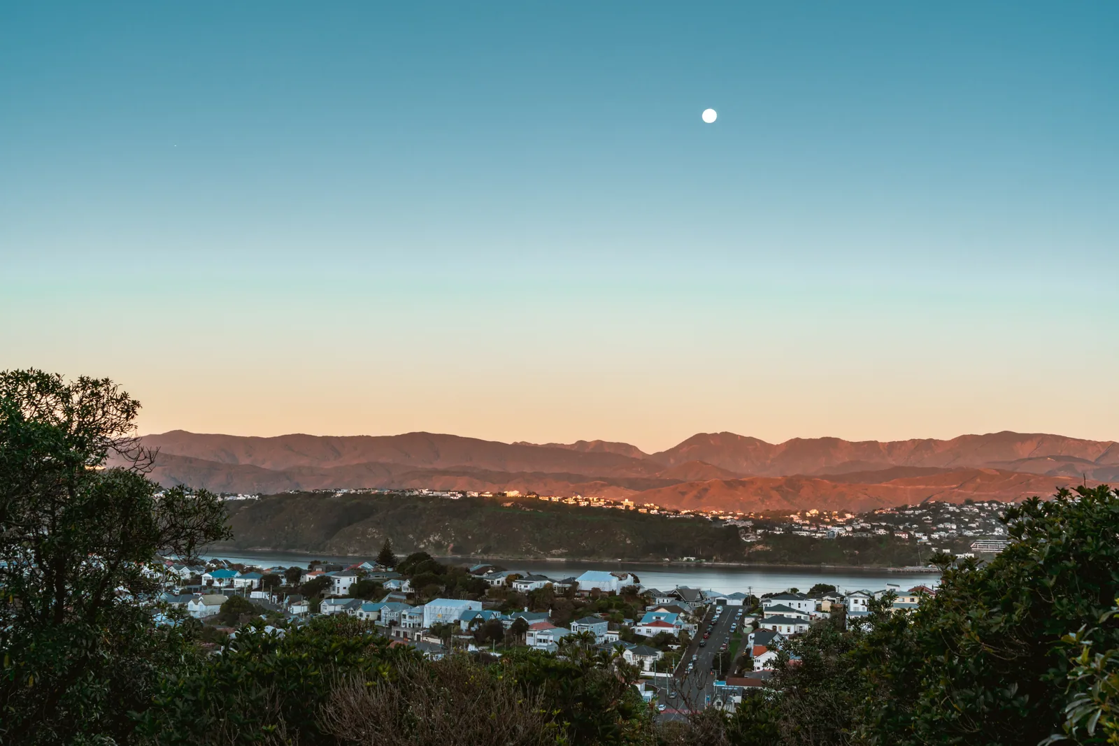 Eastern Bay, Wellington, New Zealand