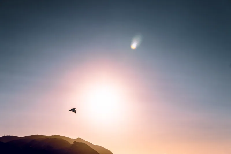 Fly Away, Pukerua Bay, New Zealand