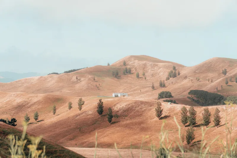Home on The Hills, Waimārama, New Zealand