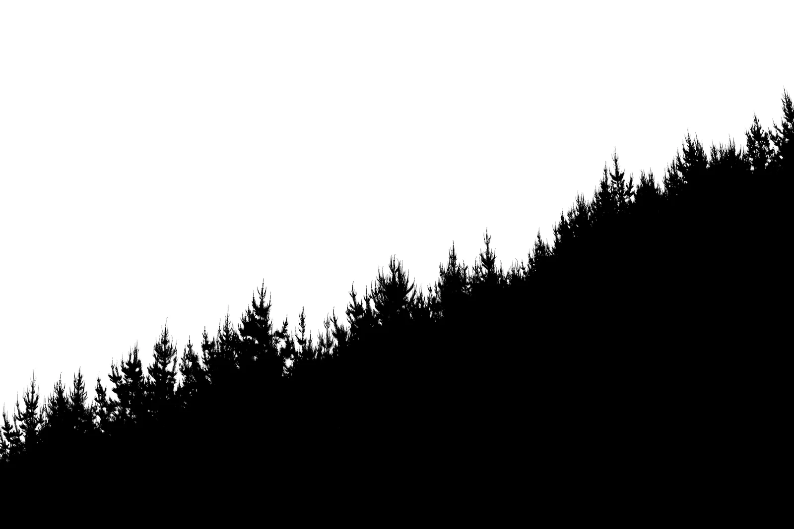 Makara Shadows, Makara, Wellington