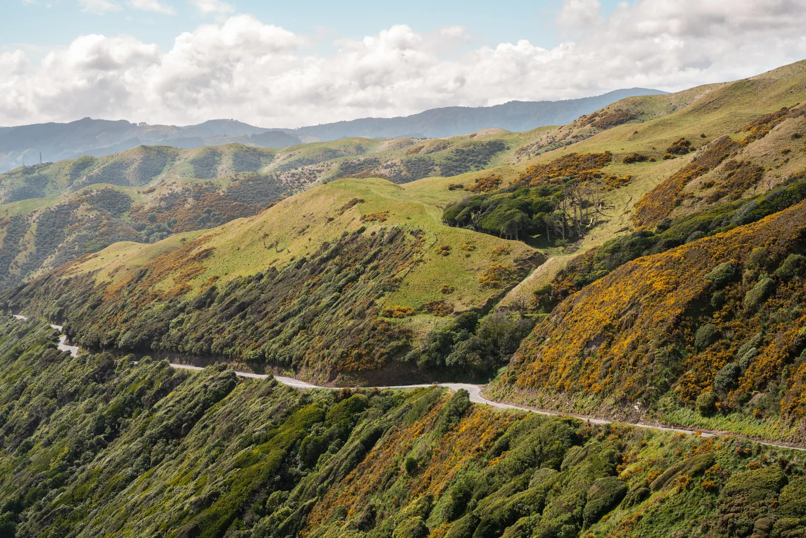 Paekakariki Hill Road, Paekakariki, New Zealand