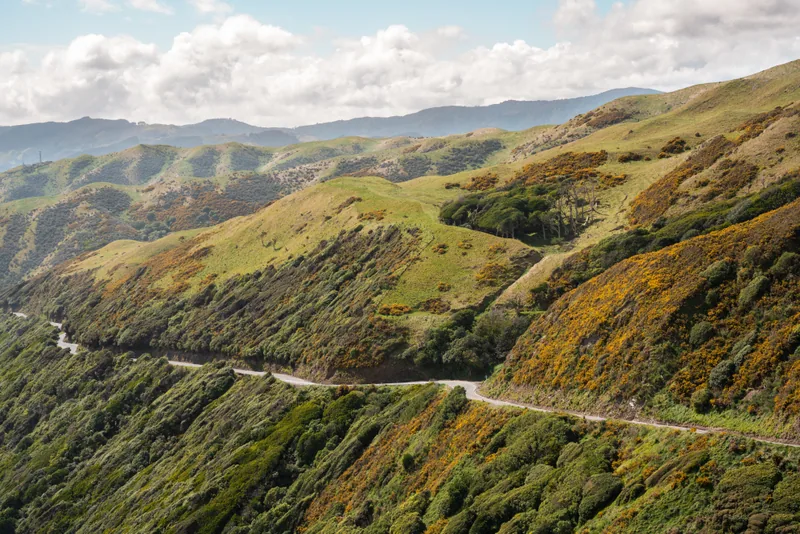 Paekakariki Hill Road, Paekakariki, New Zealand