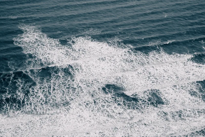 Shoreline, Paekakariki, New Zealand
