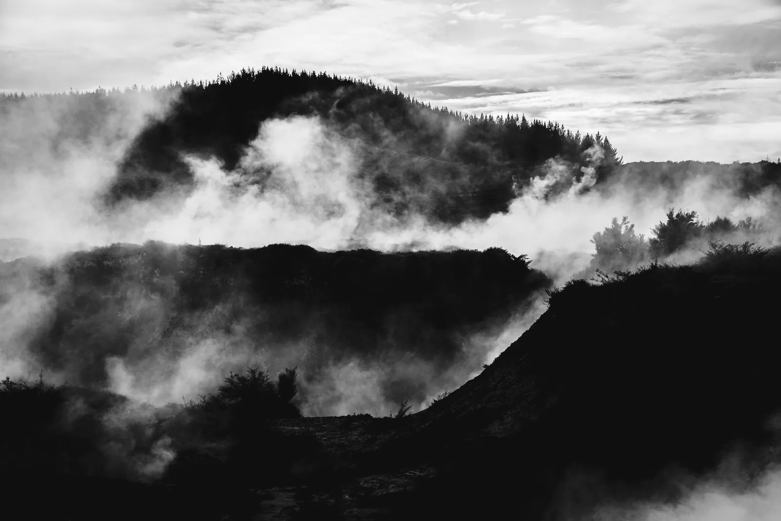Steam, Taupo, New Zealand