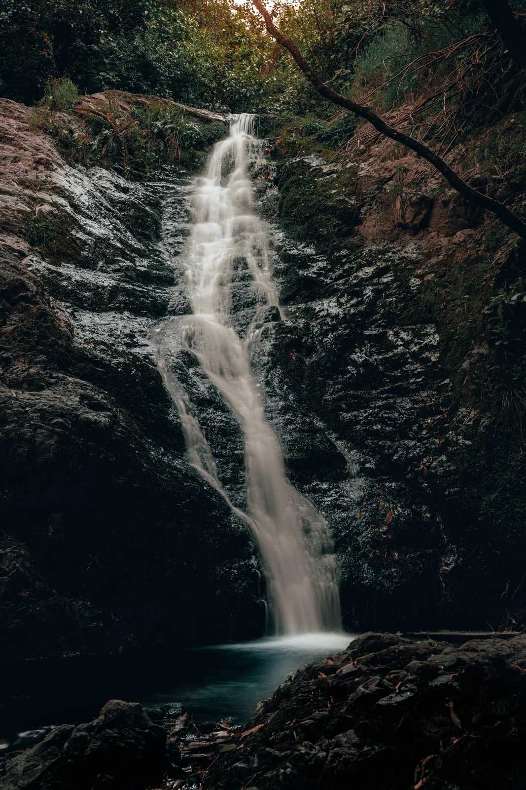 Upstream, Seton Nossiter Park, Paparangi, NZ